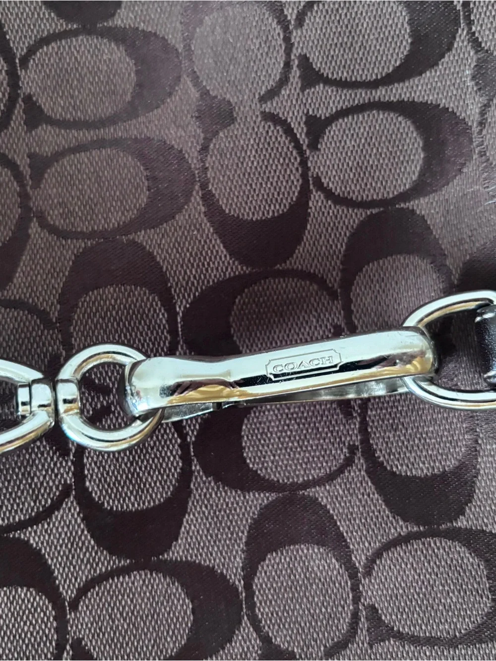 Coach signature canvas